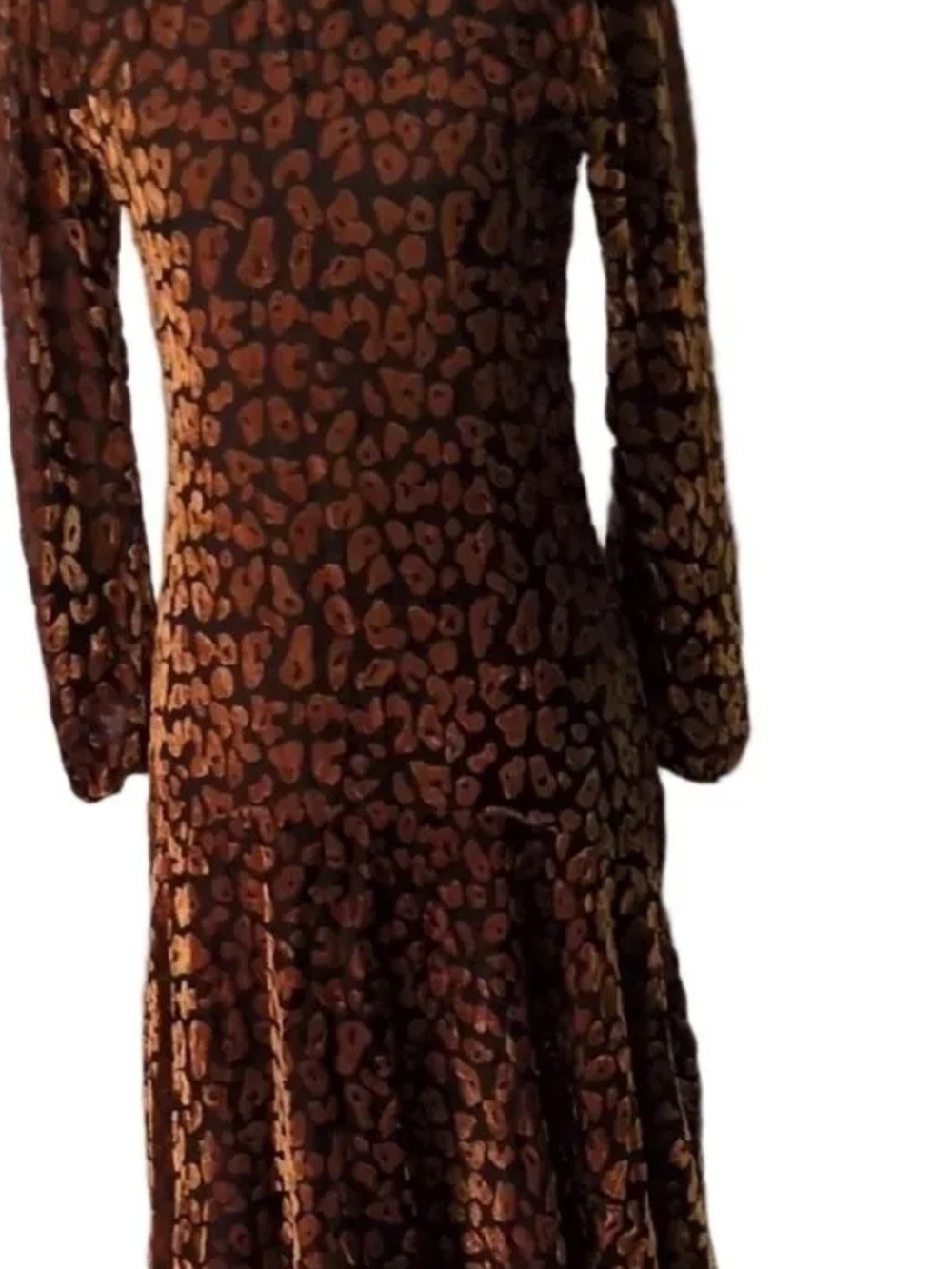 XS Belladonna Chic Dress Long Sleeve Brown Leopard Print Dress